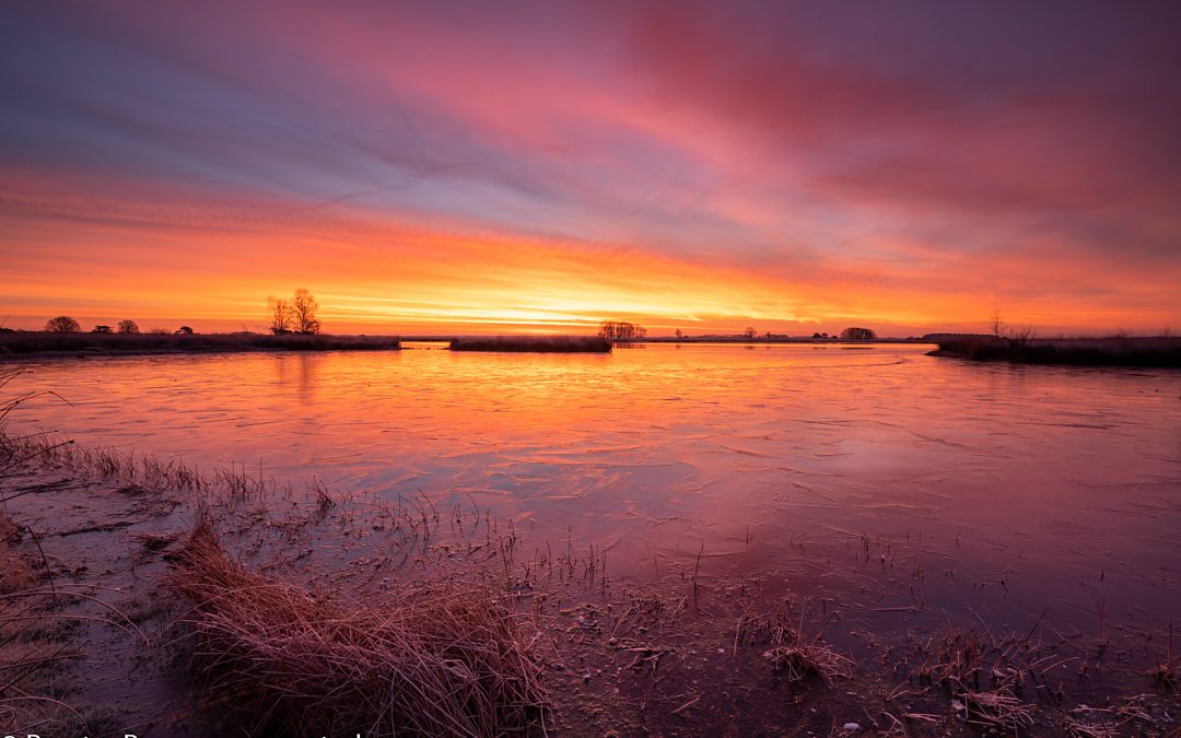 20191228 – Zonsopkomst Dwingelderveld