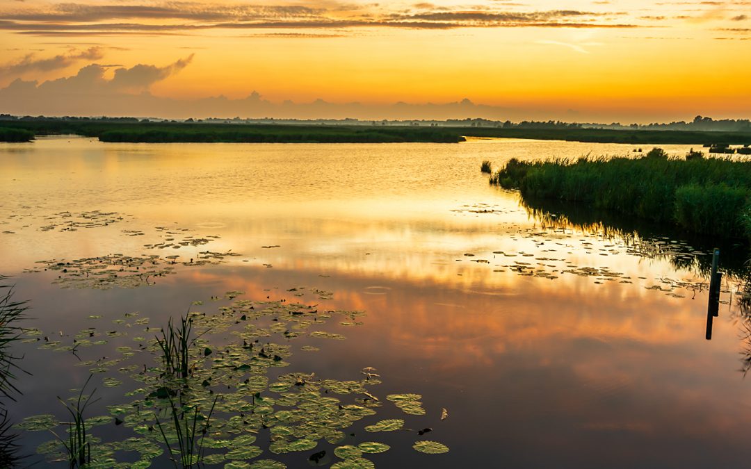 20190819 – Zonsondergang Onlanden